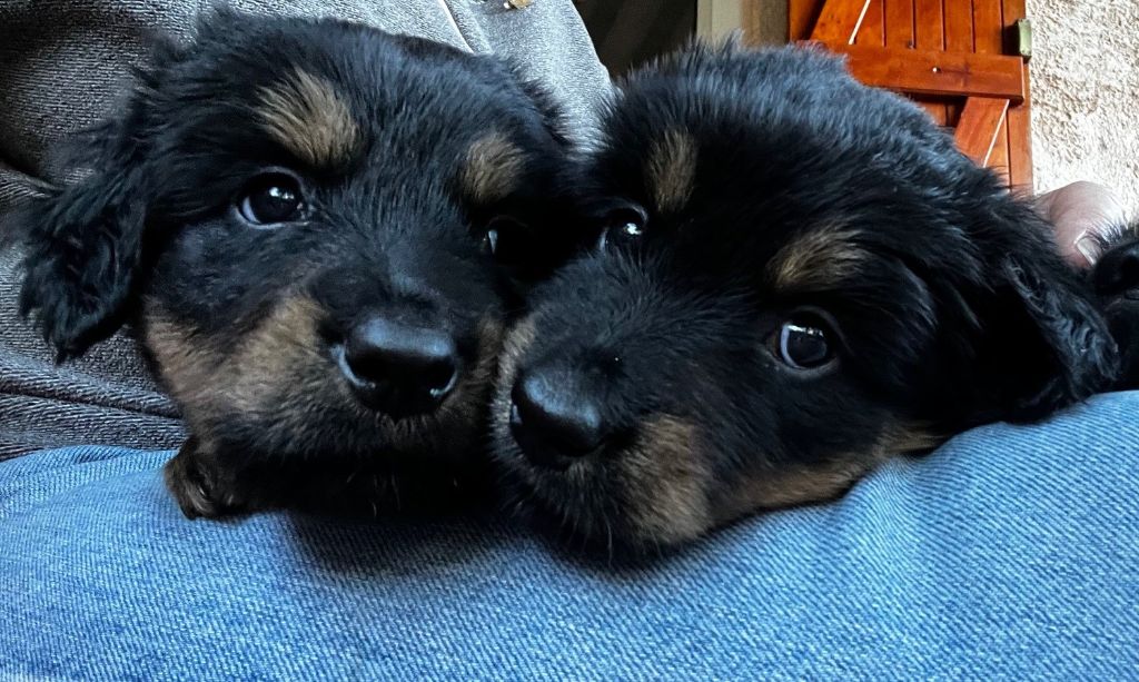 Mignonneries à un mois